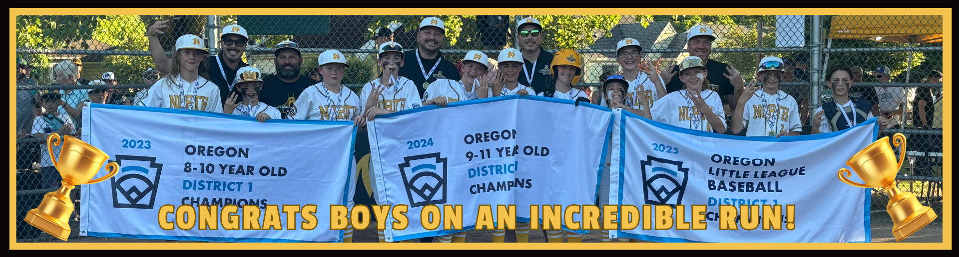 12U Baseball District 1 Champs!